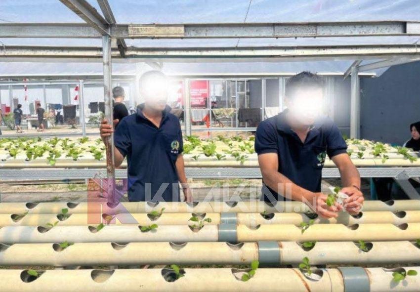 Lapas Binjai Gelar Pelatihan Perawatan Tanaman Hidroponik