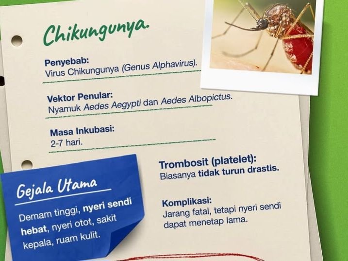 Sumut Peringkat Empat Kasus Chikungunya Terbanyak di Indonesia