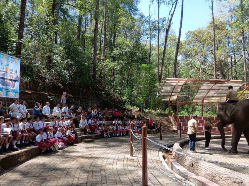 Pertamina Bangun Ekowisata di Simalungun untuk Lestarikan Gajah dan Tanaman Endemik