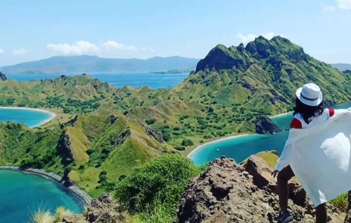 Gawat, Ratusan Vila di Pulau Padar Akan Persempit Ruang Komodo