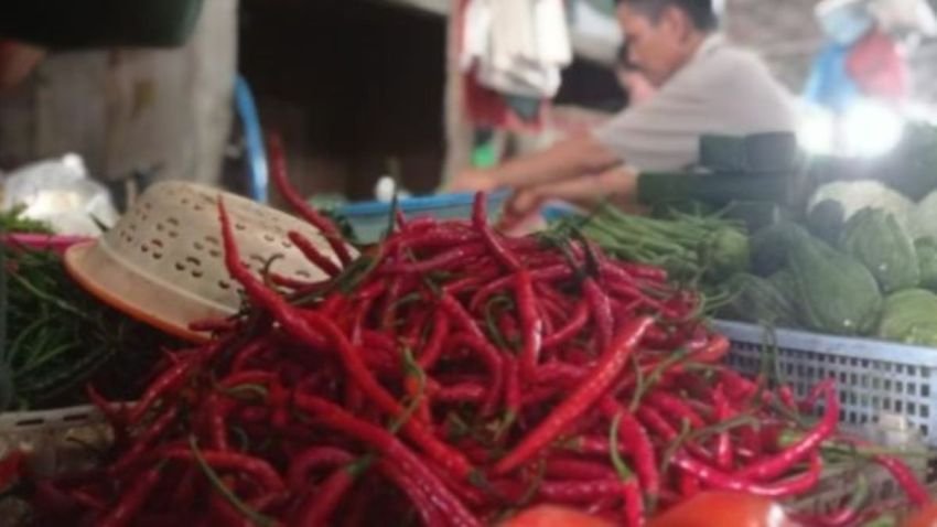 Harga Cabai Merah Naik 100 % di Kota Padang
