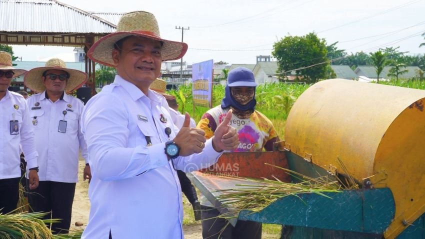 Lapas Narkotika Langkat Kembali Panen Raya Padi