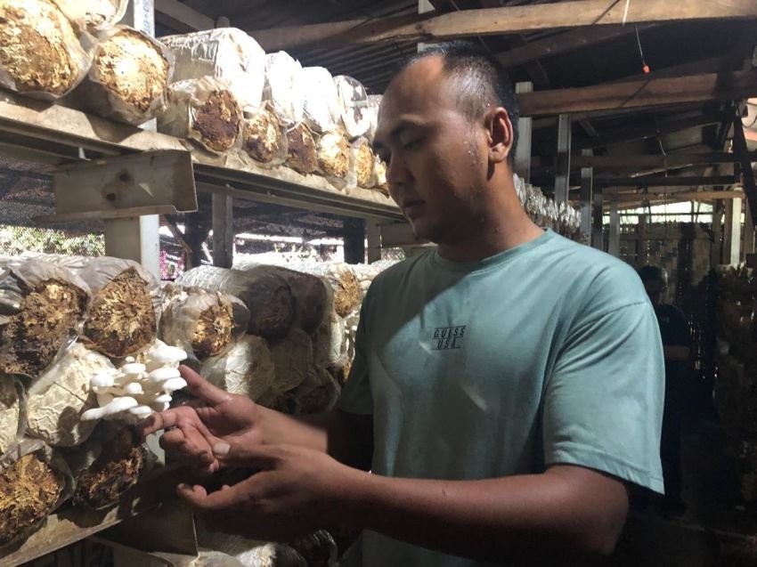 Sempat Difitnah dan Tertipu, Mantan ABK Sukses Budidaya Jamur Tiram