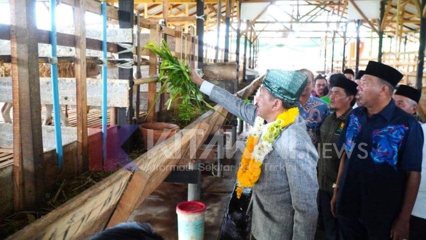 Syah Afandin Targetkan Balai Ternak Baznas Hingga ke Kecamatan untuk Bangkitkan Ekonomi Masyarakat