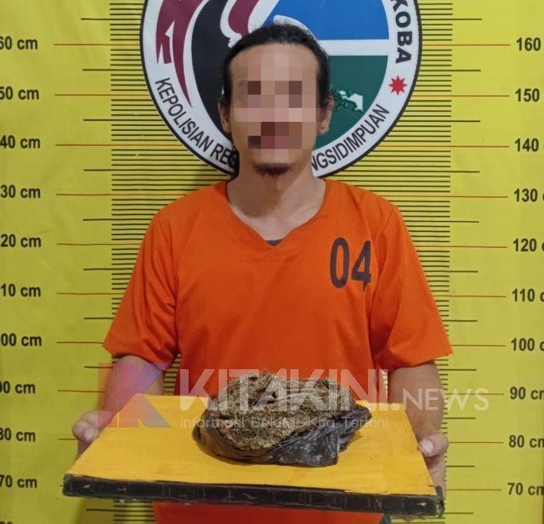 Miliki Ganja Kering, Warga Jalan Letjen Suprapto Diamankan Polres Sidimpuan