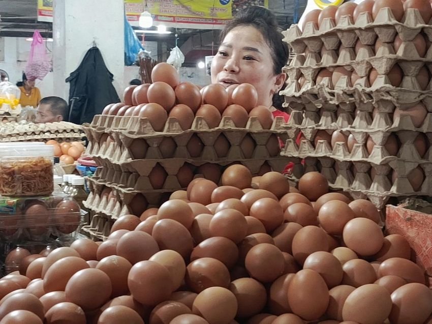 Harga Jagung Naik Dekati Rp7.000 per Kg, Ekonom Revisi Proyeksi Harga Daging Ayam