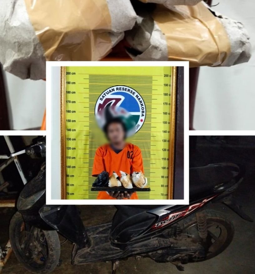 Polres Sidimpuan Tangkap Warga Miliki 300 Gram Ganja