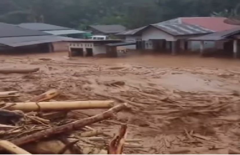 Bencana Berulang di Tapanuli, WALHI: Ini Bukan Alam, Ini Bencana Ekologis