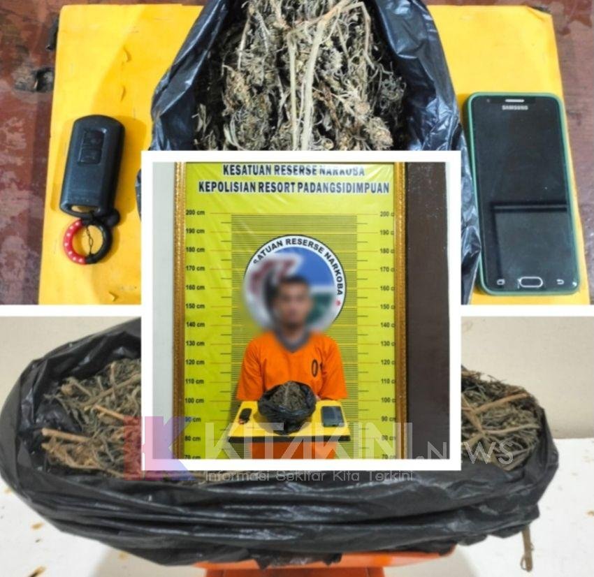 Tergiur Upah Rp200 Ribu, Pria Warga Ujung Padang, Sidimpuan Ditangkap Polisi