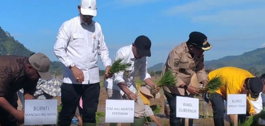 Pemda Rehabilitasi 3.000 Hektar Lebih Lahan Sawah Rusak Akibat Bencana di Tapanuli Tengah