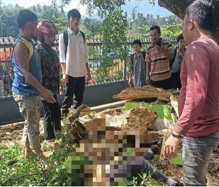 Sedang Menunggu Angkutan Umum, Pelajar di Sidimpuan Tewas Tertimpa Pohon