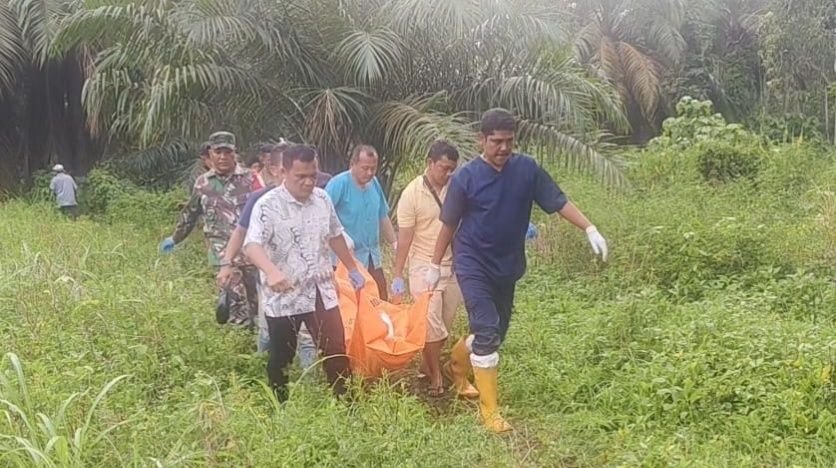 Warga Tapsel Ditemukan Tewas di Areal Perkebunan Aekgareder Kota Padangsidimpuan